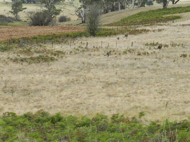 Lot 39 Golspie  Road, Taralga NSW 2580