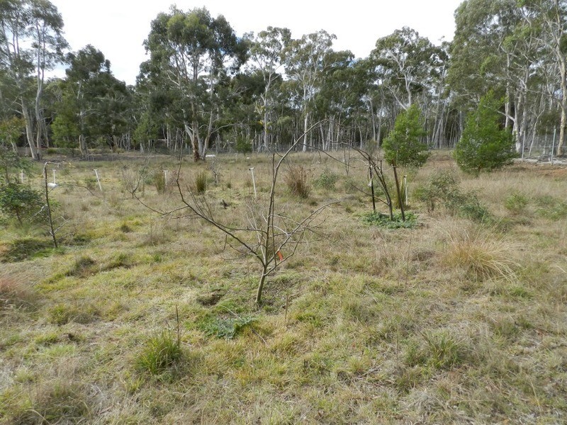 255 Gumnut  Crescent, Bungonia NSW 2580