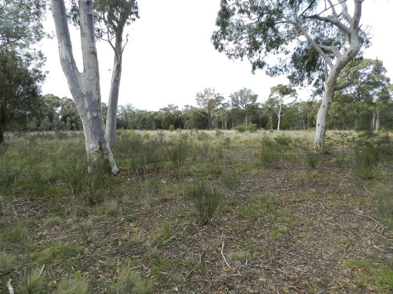 255 Gumnut  Crescent, Bungonia NSW 2580