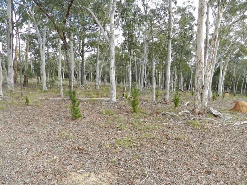 255 Gumnut  Crescent, Bungonia NSW 2580