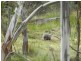 3792 Off Oallen Ford  Road, Windellama NSW 2580