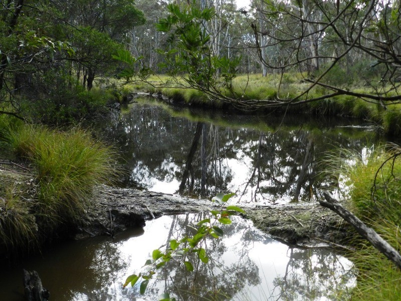 3792 Off Oallen Ford  Road, Windellama NSW 2580