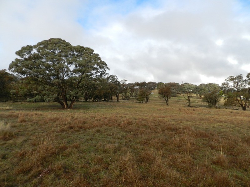Lot 7/Cnr Edward and Duncan Street, Binda NSW 2583