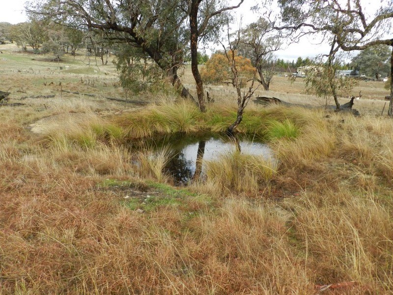 Lot 7/Cnr Edward and Duncan Street, Binda NSW 2583