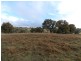 Lot 7/Cnr Edward and Duncan Street, Binda NSW 2583
