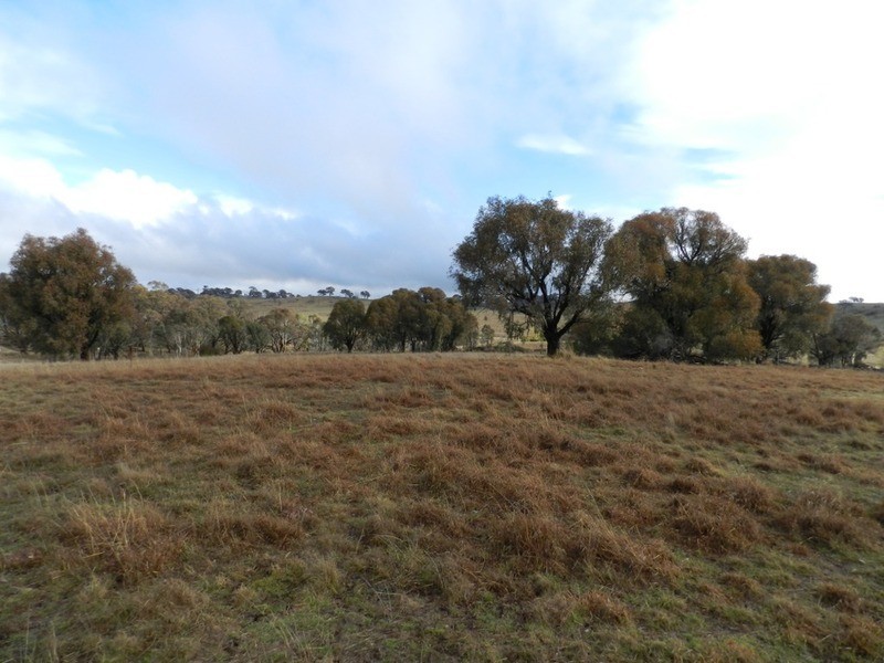 Lot 7/Cnr Edward and Duncan Street, Binda NSW 2583
