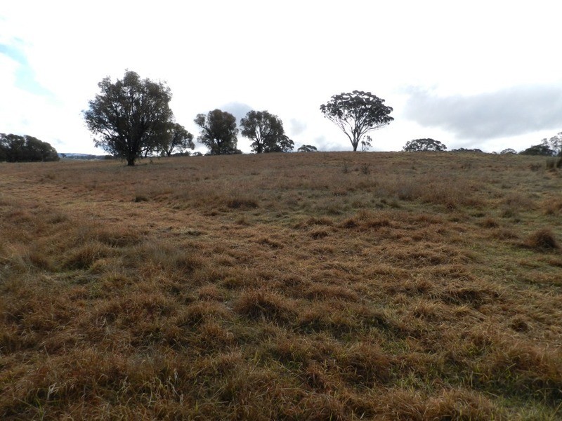 Lot 7/Cnr Edward and Duncan Street, Binda NSW 2583