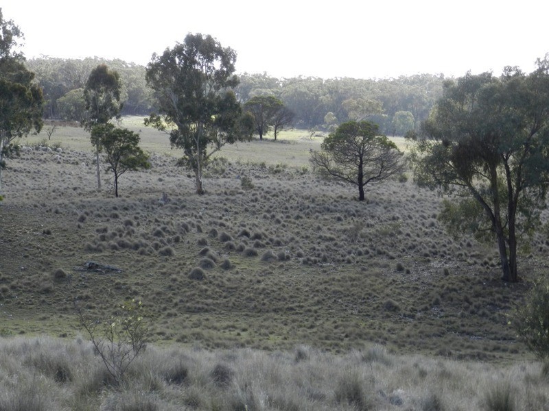 709 Thornford Road, Yarra NSW 2580