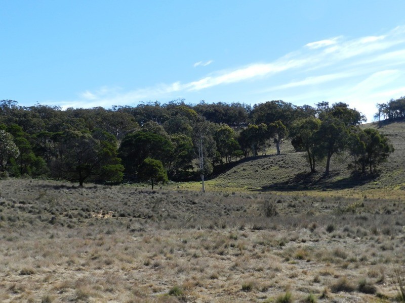 709 Thornford Road, Yarra NSW 2580