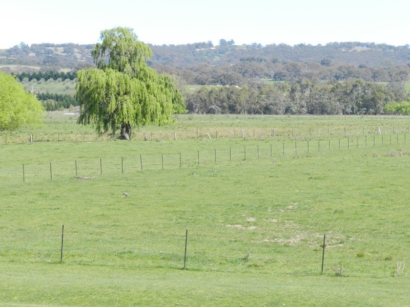 1522 Gurrundah Road, Parkesbourne NSW 2580