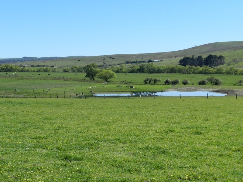 1522 Gurrundah Road, Parkesbourne NSW 2580