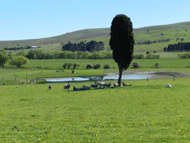 1522 Gurrundah Road, Parkesbourne NSW 2580