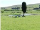 1522 Gurrundah Road, Parkesbourne NSW 2580