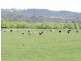 1522 Gurrundah Road, Parkesbourne NSW 2580