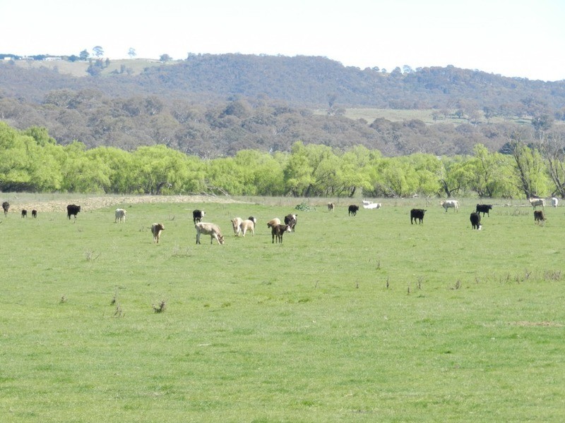 1522 Gurrundah Road, Parkesbourne NSW 2580