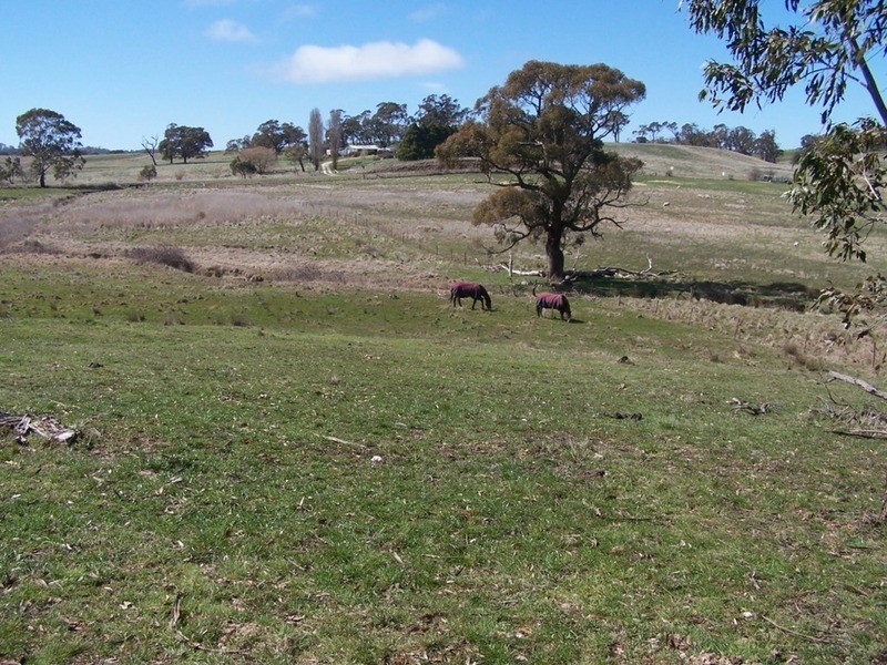 Lot 2 Grabben Gullen Road, Grabben Gullen NSW 2583