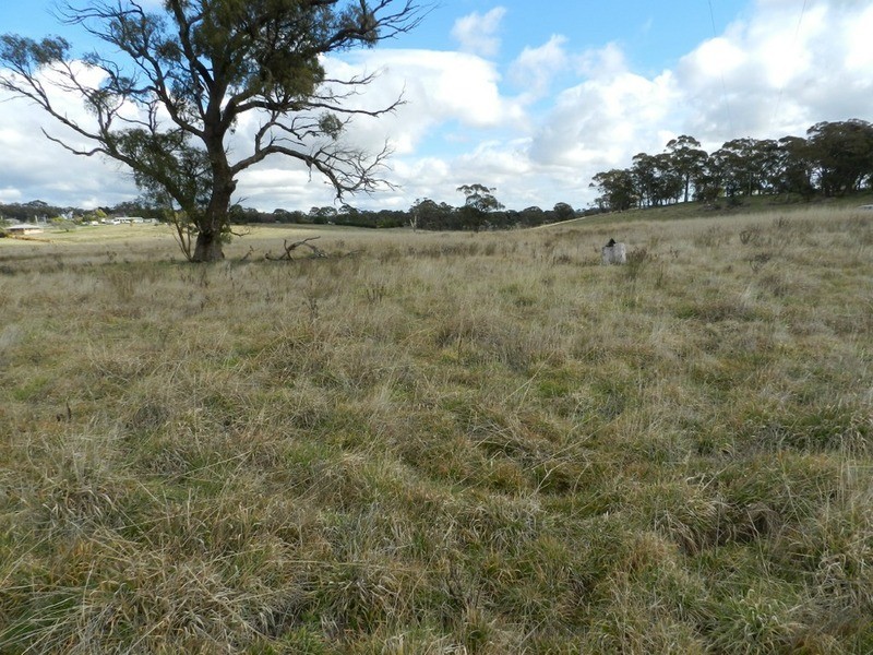 Lot 2 Grabben Gullen Road, Grabben Gullen NSW 2583