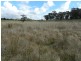 Lot 2 Grabben Gullen Road, Grabben Gullen NSW 2583