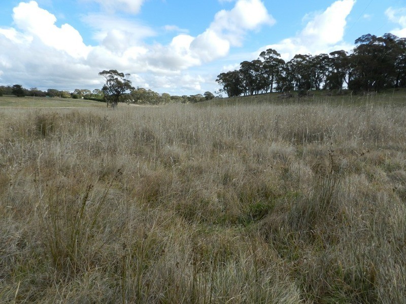 Lot 2 Grabben Gullen Road, Grabben Gullen NSW 2583