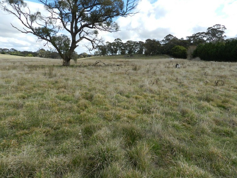 Lot 2 Grabben Gullen Road, Grabben Gullen NSW 2583