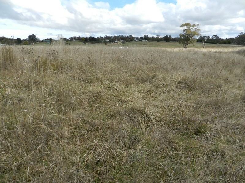 Lot 2 Grabben Gullen Road, Grabben Gullen NSW 2583
