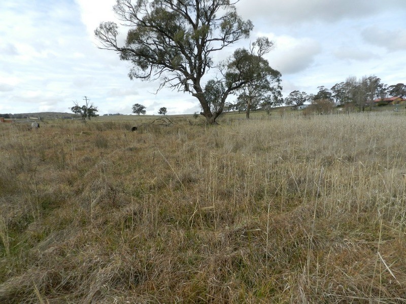 Lot 2 Grabben Gullen Road, Grabben Gullen NSW 2583