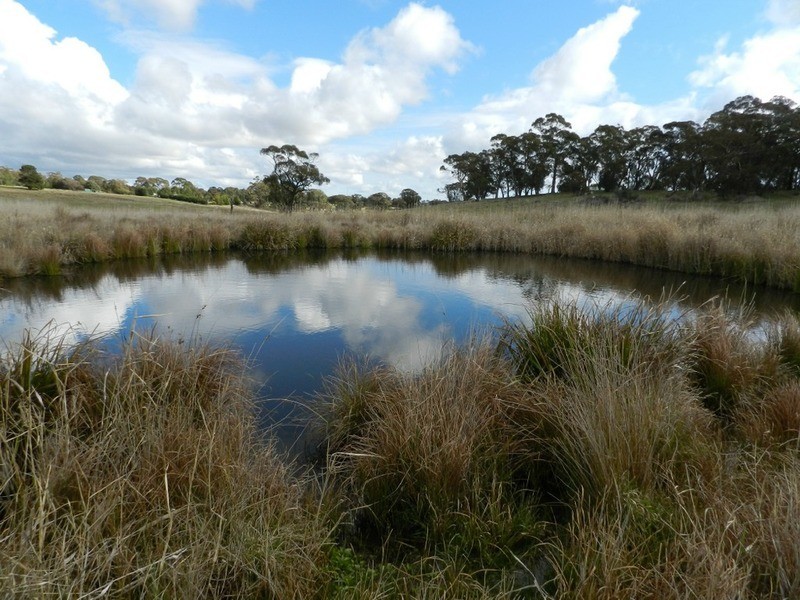Lot 2 Grabben Gullen Road, Grabben Gullen NSW 2583