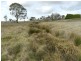 Lot 2 Grabben Gullen Road, Grabben Gullen NSW 2583