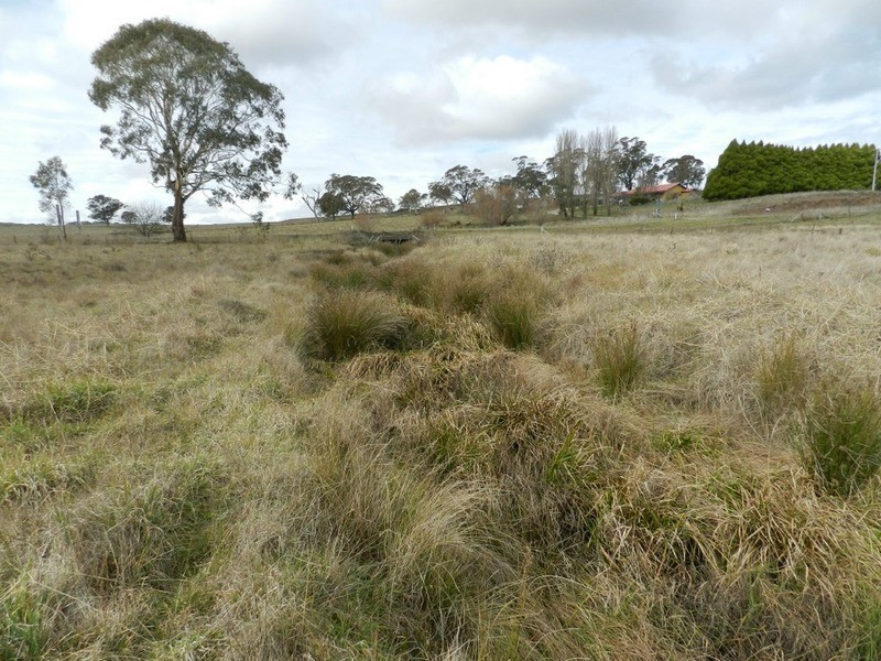 Lot 2 Grabben Gullen Road, Grabben Gullen NSW 2583