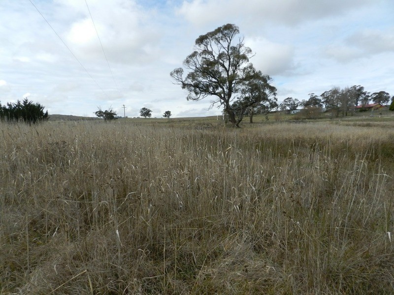 Lot 2 Grabben Gullen Road, Grabben Gullen NSW 2583