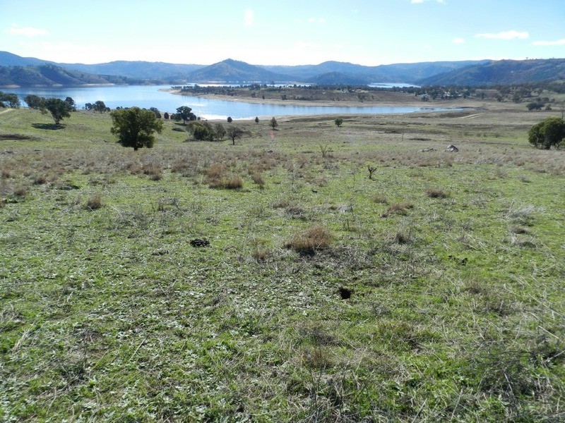 176 Streamville  Road, Bigga NSW 2583