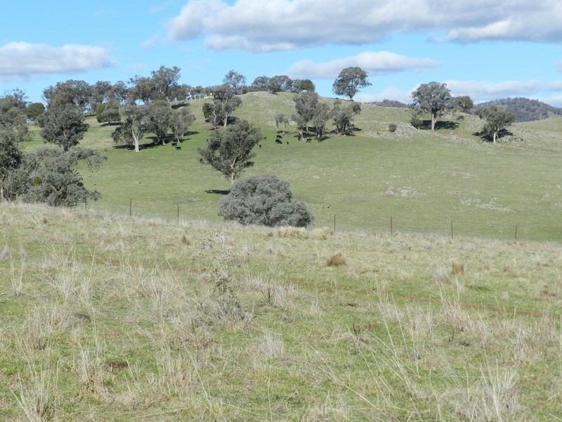 176 Streamville  Road, Bigga NSW 2583