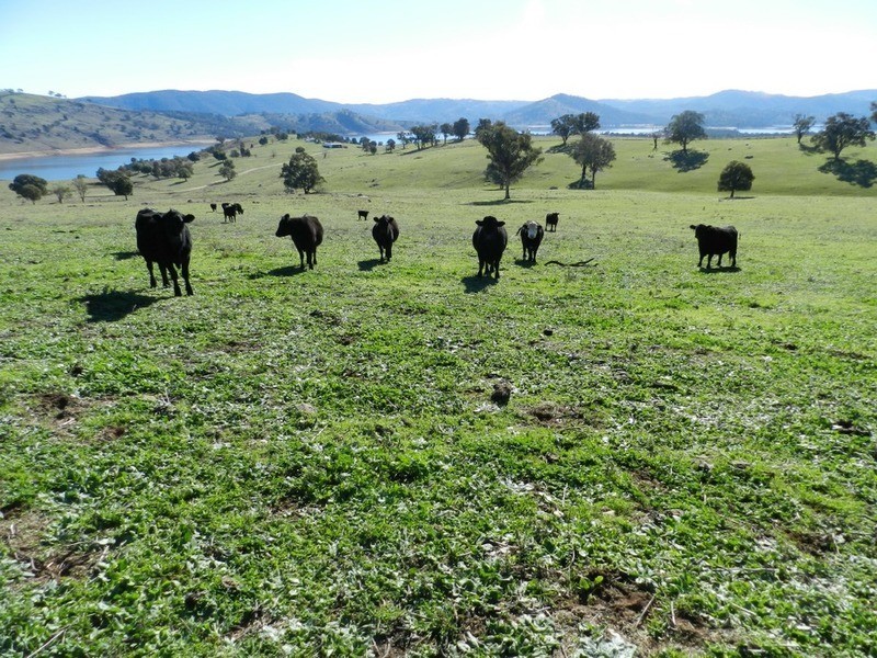 176 Streamville  Road, Bigga NSW 2583