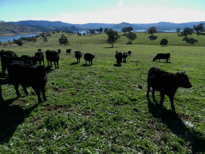 176 Streamville  Road, Bigga NSW 2583