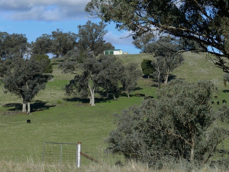 176 Streamville  Road, Bigga NSW 2583