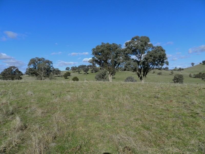 176 Streamville  Road, Bigga NSW 2583