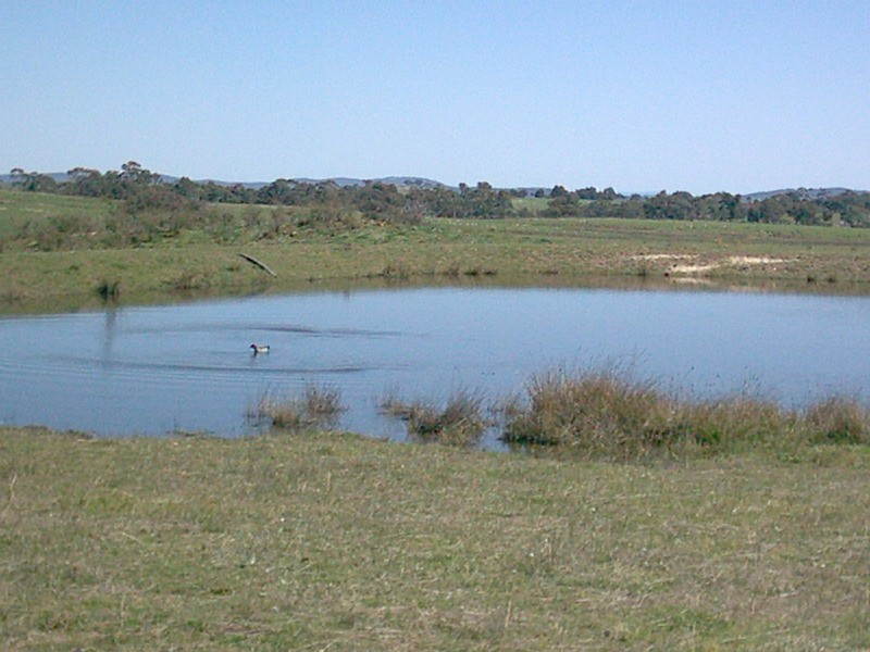 1787 Bigga Road, Bigga NSW 2583