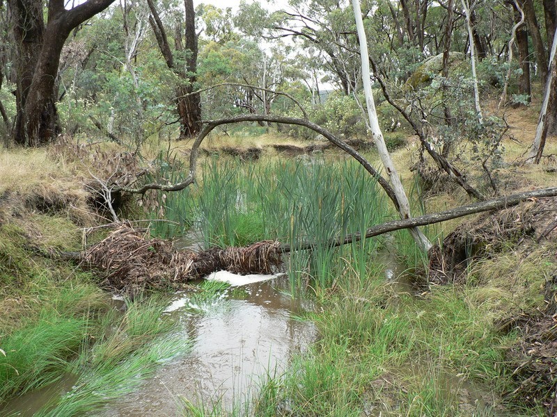 1787 Bigga Road, Bigga NSW 2583
