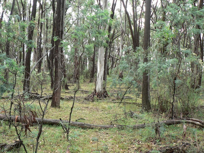 1787 Bigga Road, Bigga NSW 2583