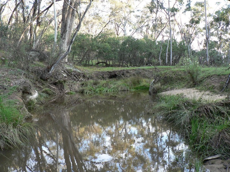 1787 Bigga Road, Bigga NSW 2583