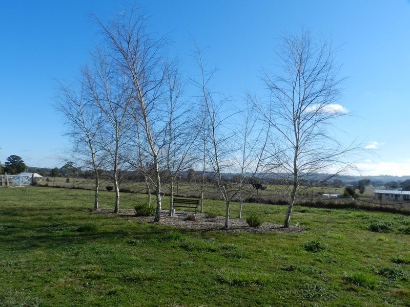 Lot 5 Reservoir Road, Crookwell NSW 2583