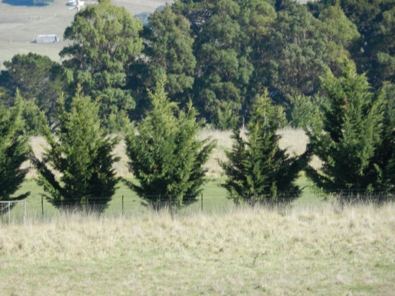 Lot 5 Reservoir Road, Crookwell NSW 2583