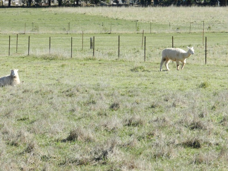 Lot 5 Reservoir Road, Crookwell NSW 2583