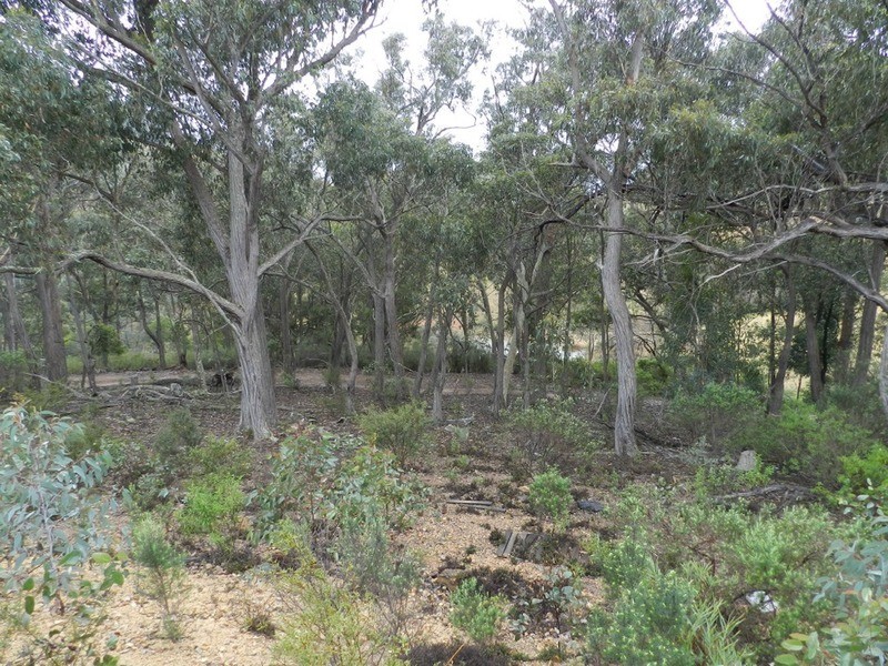 Lot 7 Mares Forest Road, Taralga NSW 2580
