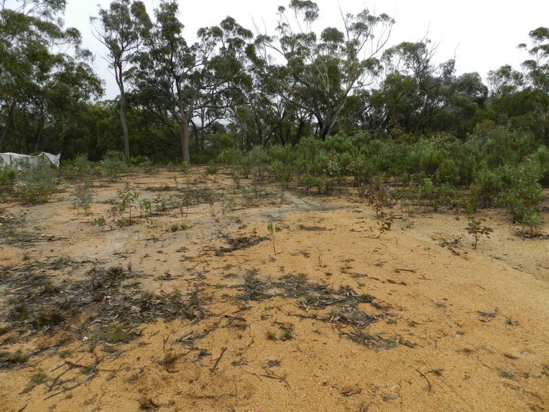 Lot 7 Mares Forest Road, Taralga NSW 2580