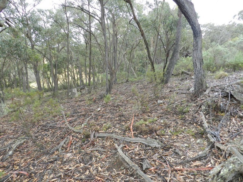 Lot 7 Mares Forest Road, Taralga NSW 2580