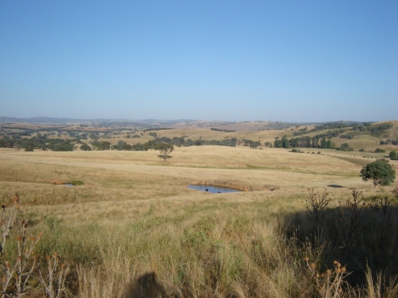 Lot 1 Bevendale  Road, Crookwell NSW 2583
