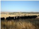 Lot 1 Bevendale  Road, Crookwell NSW 2583