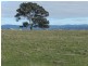Lot 1 Bevendale  Road, Crookwell NSW 2583