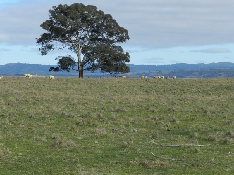 Lot 1 Bevendale  Road, Crookwell NSW 2583